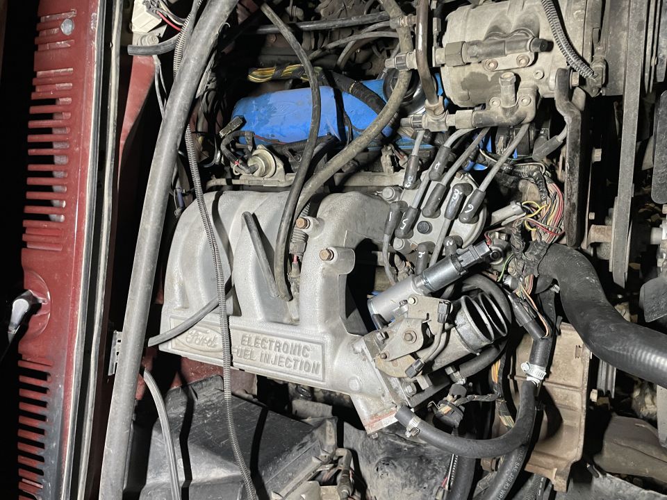 1986 Ford Bronco “Money Pit” photo