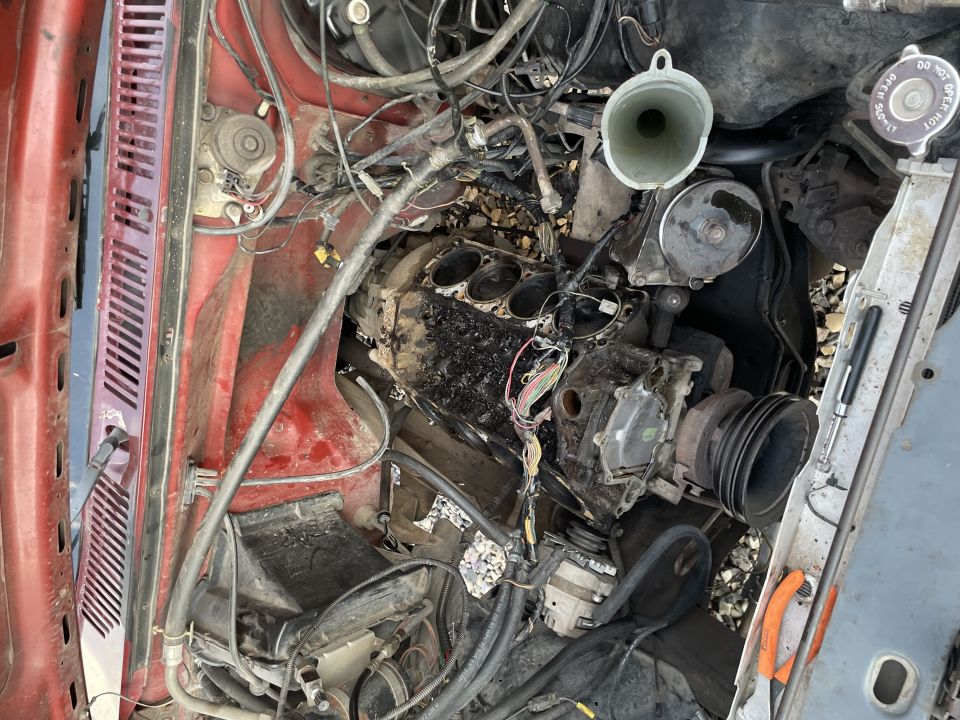 1986 Ford Bronco “Money Pit” photo