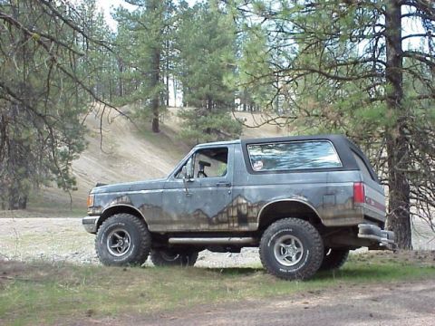 1989 Ford Bronco - Side view of a 1989 Ford Bronco parked in a natural setting with trees and a sandy incline.