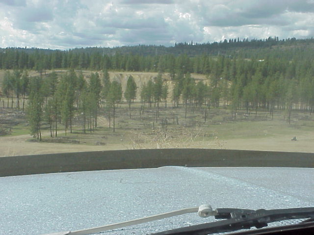 Light blue dashboard and windshield wipers with a wooded landscape beyond