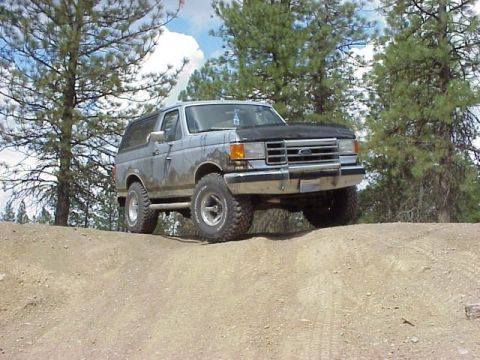 1989 Ford Bronco - This Ford Bronco is shown off-road on a dirt path, surrounded by trees under a partly cloudy sky.