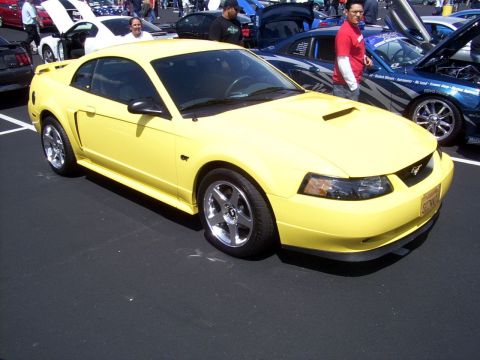 2002 Ford Mustang - Our 1st show