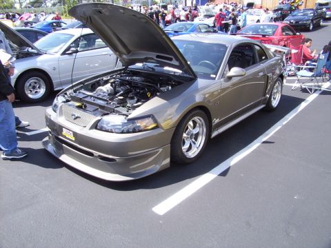 2002 Ford Mustang - A tan 2002 Ford Mustang GT is displayed with its hood open at a car show, revealing the engine and aftermarket body kit.