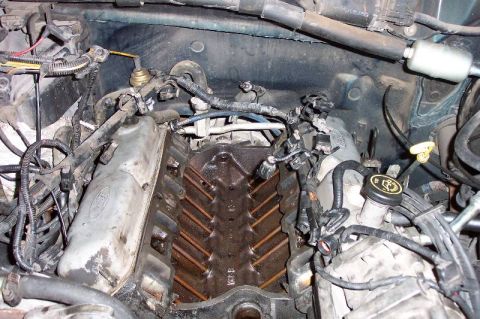 1992 Ford Bronco - It sure is clean in there