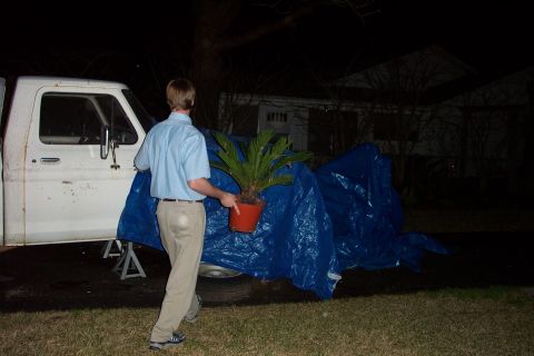 1992 Ford Bronco - Add a plant...