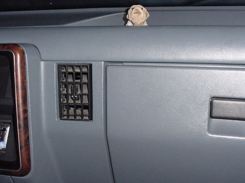 1991 Ford Bronco - Bob the Bobble Headed Dash Dog