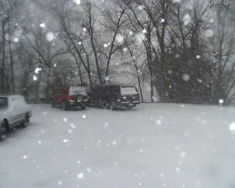 1988 Ford C-350 (Centurion Conversions) - Vehicles are parked in a snowy outdoor scene with bare trees in the background.