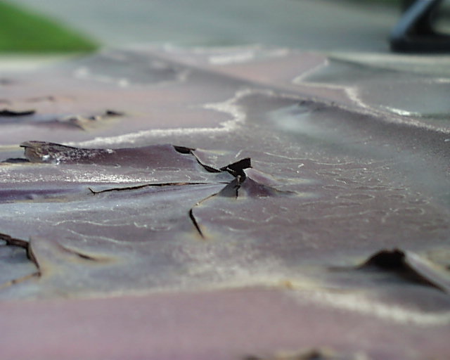 Macro of cracked, peeling maroon paint and clearcoat flaking off a vehicle body panel