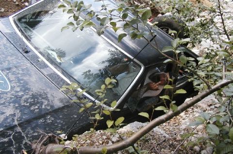 1993 Ford Bronco - A black Ford Bronco is partially obscured by foliage and appears stuck in a rocky area.