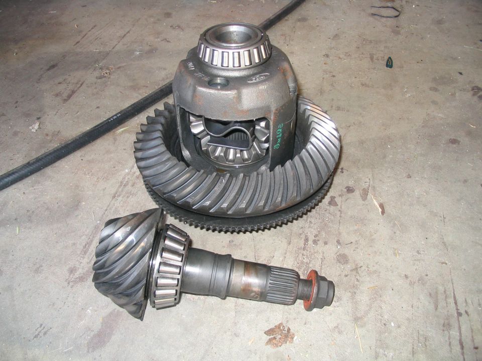Differential and ring gear assembly with pinion shaft