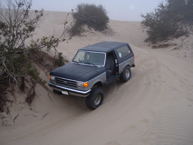 sand crawling