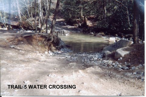 1984 Ford Bronco - YOU CAN LEAD A HORSE TO WATER! BUT DO YOU HAVE THE STONES TO CROSS?