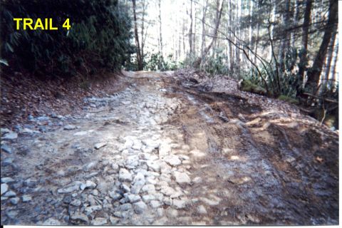 1984 Ford Bronco - A rough trail through a forest, marked as 'TRAIL 4', shows evidence of vehicle passage.