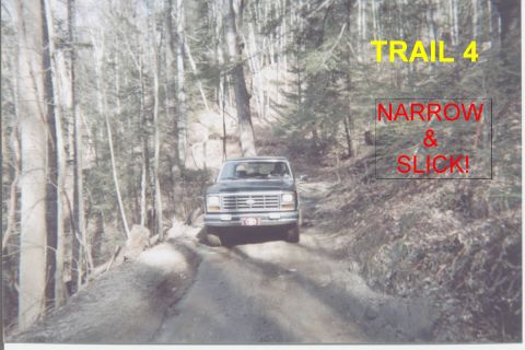 1984 Ford Bronco - A dark SUV navigates a narrow and slick trail through a dense forest.