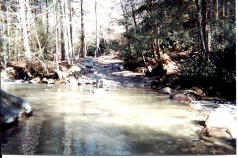 1984 Ford Bronco - TRAIL 5 WATER CROSSING YEP! I DID GET THE OL' GIRL ACROSS & BACK! CARPET STILL A LITTLE DAMP!