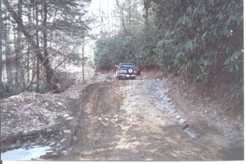 1984 Ford Bronco - This 1984 Ford Bronco navigates a challenging dirt path surrounded by trees.