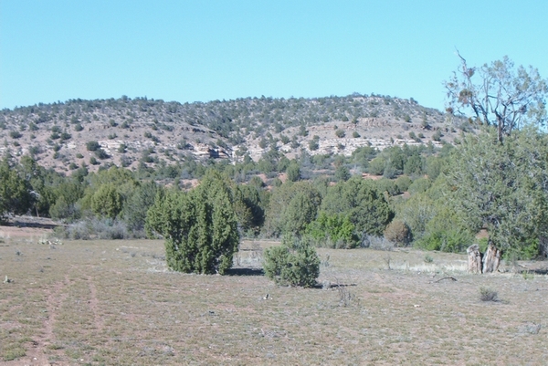 Dry grassy field with scattered bushes and trees, leading to a rocky, scrub-covered hill under a clear blue sky