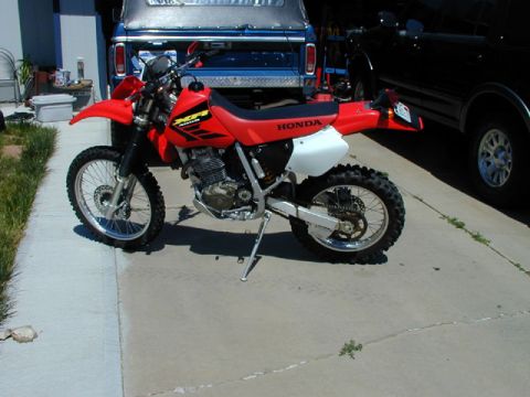 1979 Ford Bronco - A red Honda dirt bike is parked on a concrete driveway, with a blue pickup truck and a black SUV in the background.