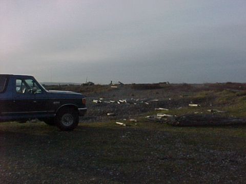 1991 Ford Bronco photo