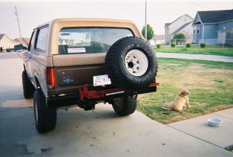 1983 Ford Bronco - A tan Ford Bronco is parked outside with a spare tire mounted on the back and a dog in the yard.