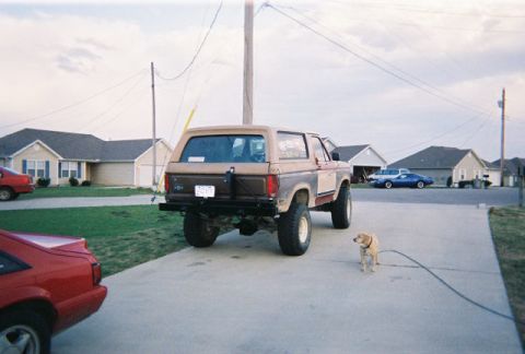 1983 Ford Bronco - A tan and brown Ford Bronco is parked on a driveway, with a dog standing nearby.