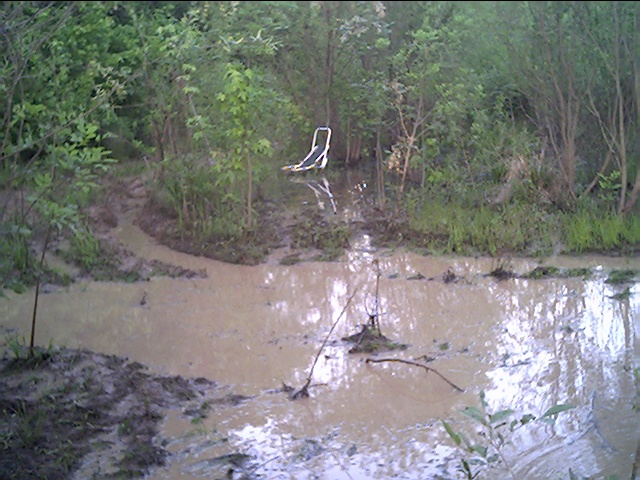 Muddy flooded off-road trail through dense green woods with deep water-filled ruts; no vehicle visible.