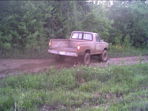 1983 Ford F-150 - giving it gas and hitting brakes at the same time. i almost ran into a cut down tree (note limb in front of truck). i bet someone used it t…