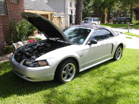 2002 Ford Mustang photo
