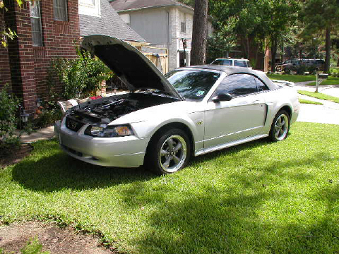 2002 Ford Mustang photo
