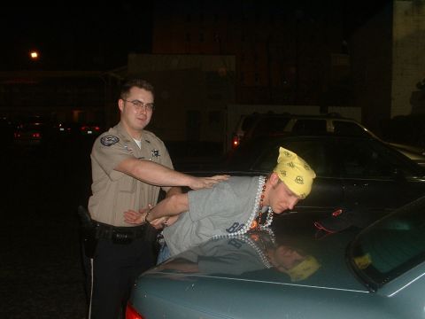 1996 Ford Crown Victoria photo