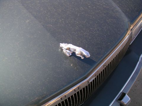 1994 Ford Bronco - A chrome leaping cat hood ornament is visible on the dusty hood of a Buick, with the brand name clearly displayed on the grille.