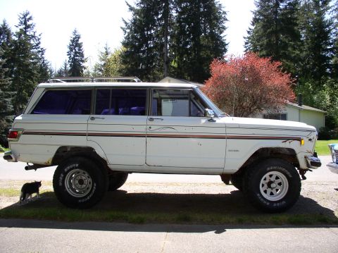 1980 Jeep Liberty photo