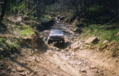 1991 Ford Bronco - Lucus on Trail 13
