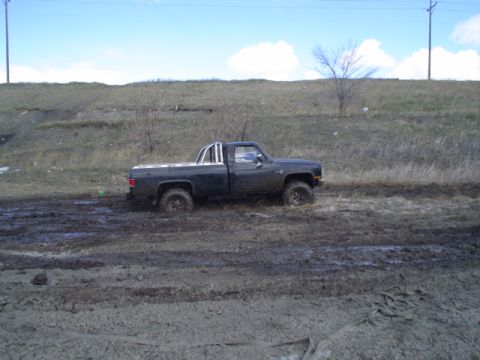 1981 Ford Bronco - A dark pickup truck is stuck in thick mud on an overcast day.