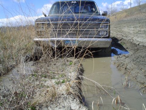 1981 Ford Bronco - veiw from the front