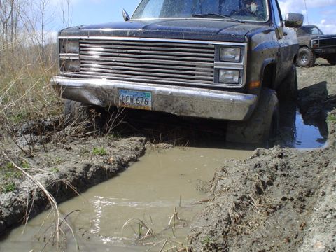 1981 Ford Bronco - again