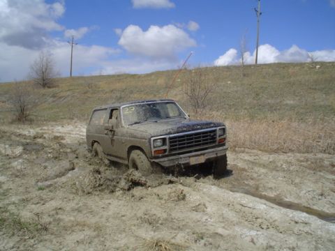 1981 Ford Bronco - oh ya