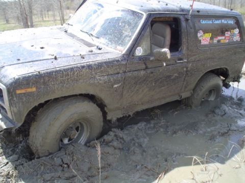 1981 Ford Bronco - last stuck
