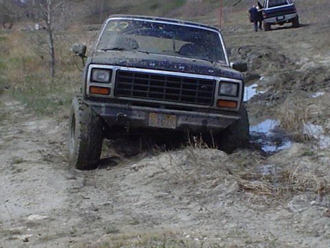 1981 Ford Bronco - decided to pull from the front since I was almost all the way through.