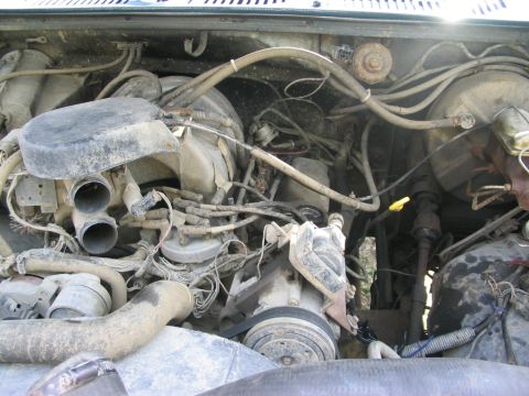 1986 Ford Bronco - The engine bay is filled with various components, including hoses, wires, and the air intake system.