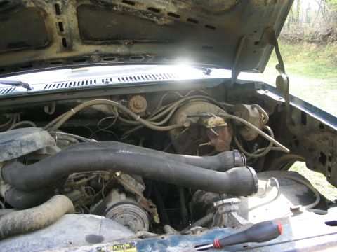 1986 Ford Bronco - The engine bay of a vehicle is shown with various hoses and components. The hood is open, revealing the engine.