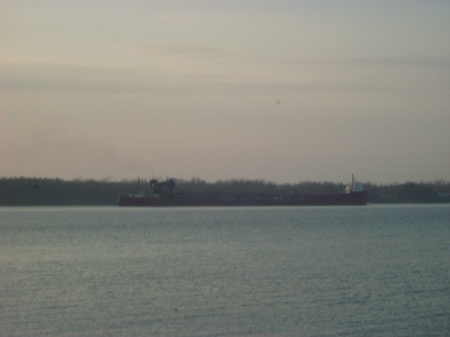 Cargo ship on a body of water with a treeline in the background