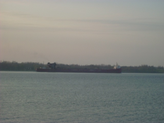 Cargo ship on water with trees in background