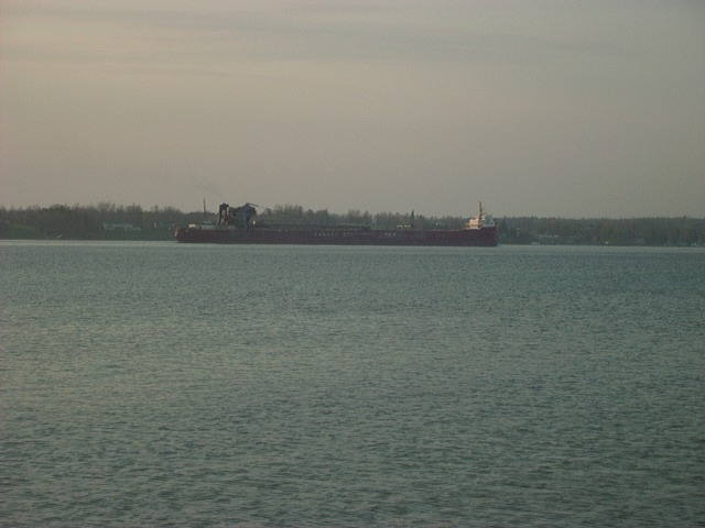 Cargo ship sailing on a body of water with trees in the background