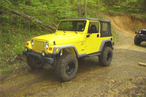1995 Ford Bronco - A yellow Jeep Wrangler is parked on a dirt path in a wooded area, with another vehicle visible in the background.
