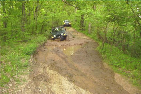 1995 Ford Bronco - Two off-road vehicles navigate a muddy path through a dense forest.
