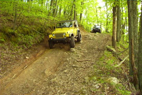 1995 Ford Bronco - Two off-road vehicles navigate a challenging path through a dense forest.