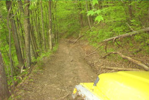 1995 Ford Bronco - A yellow vehicle navigates a dirt path surrounded by lush green trees.