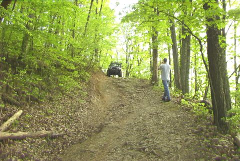 1995 Ford Bronco - A Jeep Wrangler navigates an off-road trail through a dense forest.