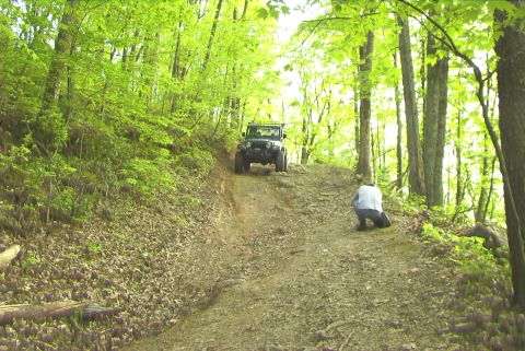 1995 Ford Bronco - A Jeep Wrangler navigates a challenging off-road trail through a dense forest.